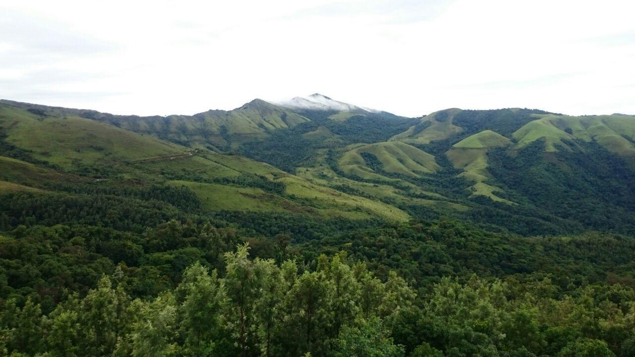 The Greenwood Resort Chikmagalur - Escape To Tranquil Mountain Views Dış mekan fotoğraf